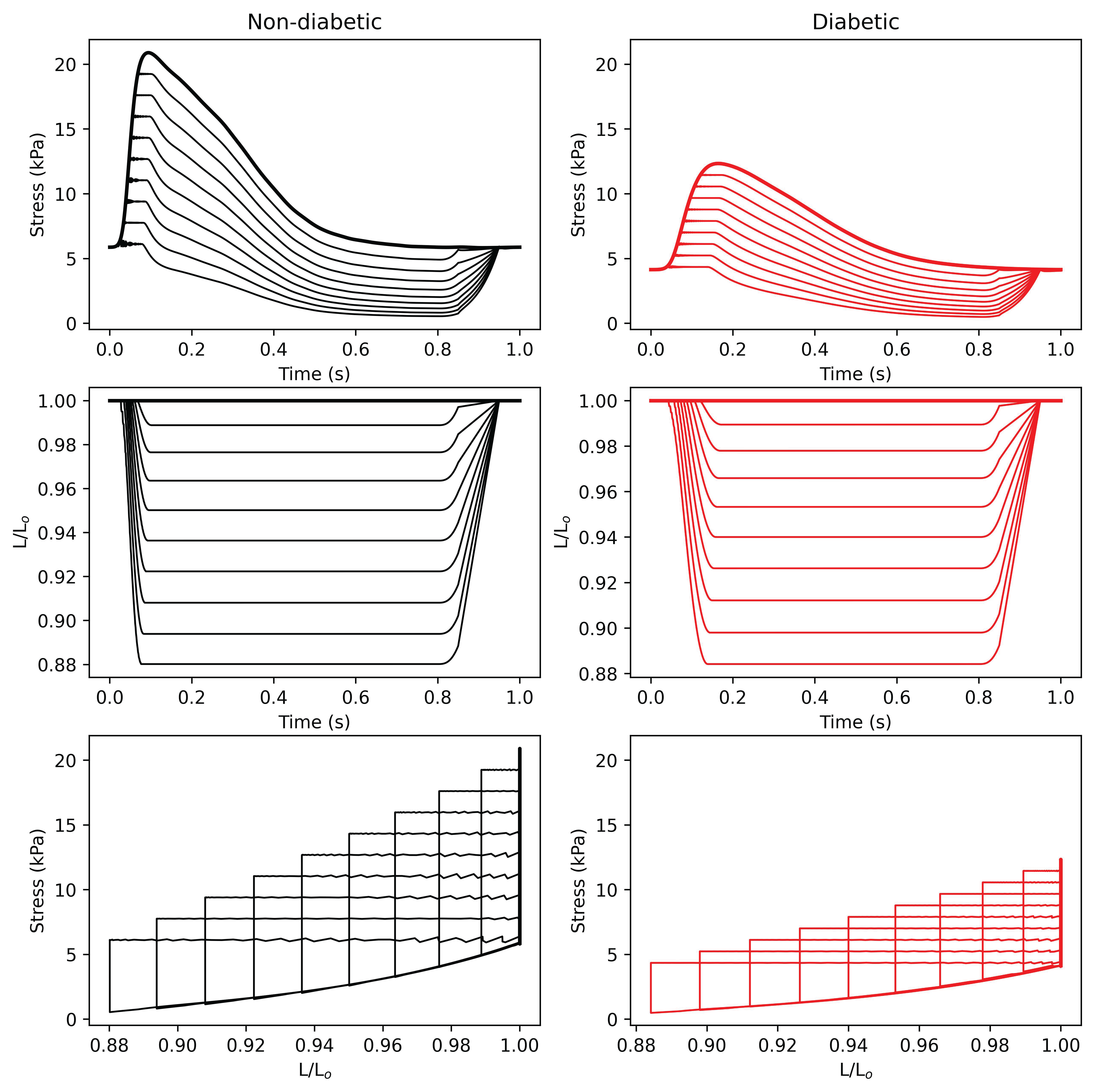 Reproduction of the simulation in Figure 6 of , using the CellML code and Jupyter Notebook. This demonstrates simulation of work-loop contractions in both models, which are performed across a range of suitable afterloads.